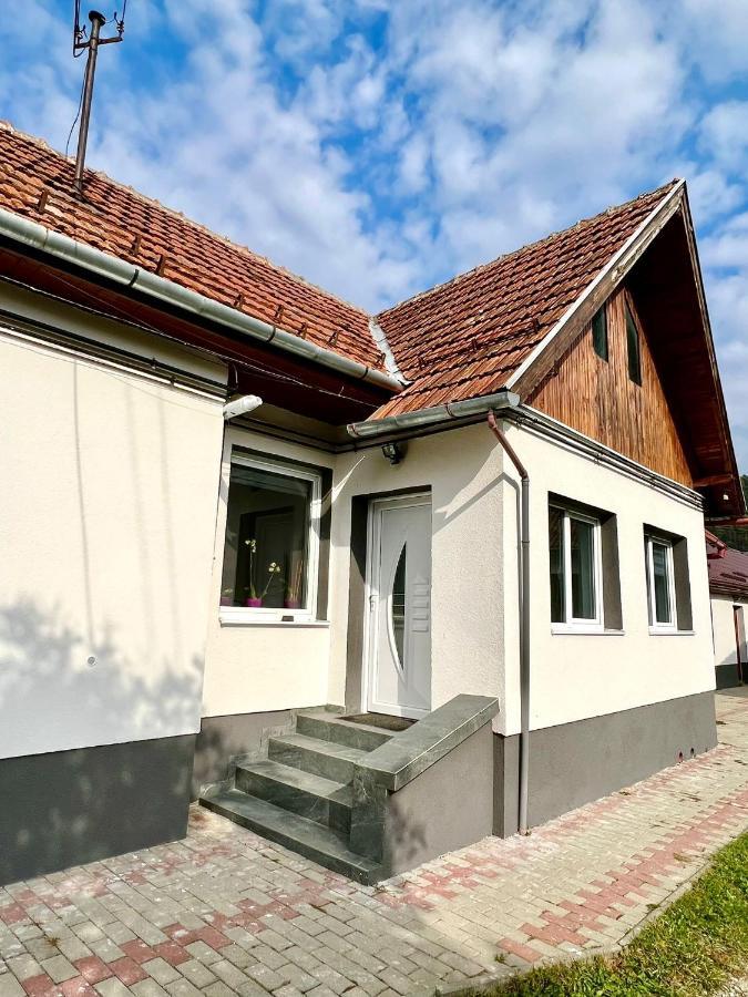 Silver House Rasnov Eksteriør billede