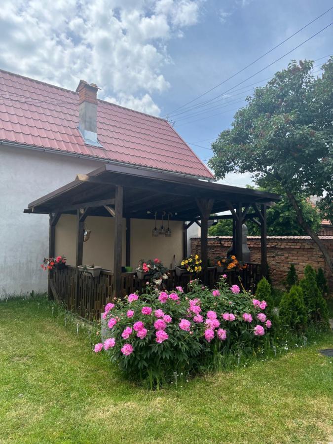 Silver House Rasnov Eksteriør billede